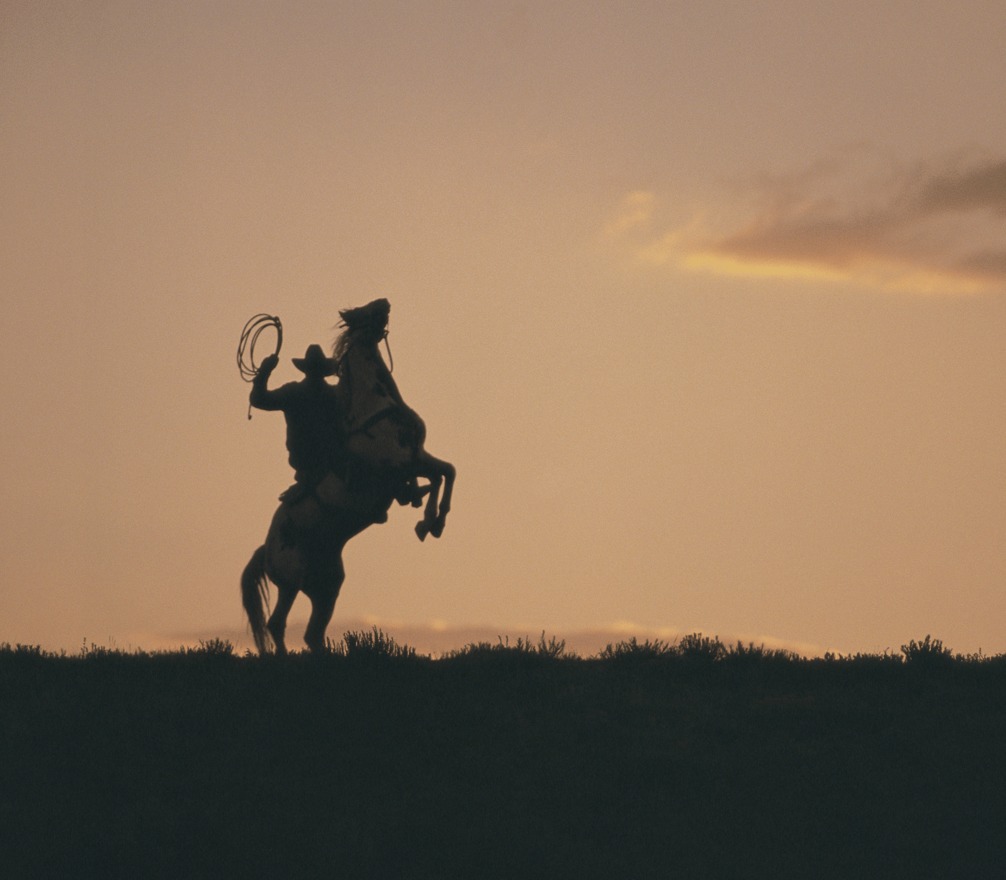 a cowboy holding a rope on a horse that is rearing up